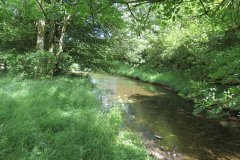 11b.-Flowing-past-Lyncombe-Wood-2