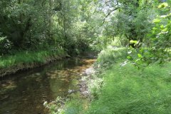 11b.-Flowing-past-Lyncombe-Wood-3