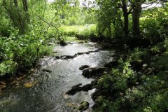 11b.-Flowing-past-Lyncombe-Wood-6