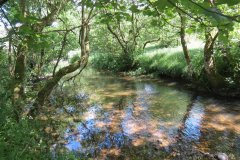 11b.-Flowing-past-Lyncombe-Wood-9