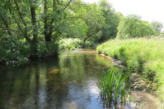 11c.-Flowing-past-Lyncombe-Wood-15