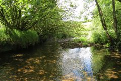 11c.-Flowing-past-Lyncombe-Wood-9