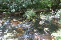 11c.-Upstream-from-Lyncombe-12