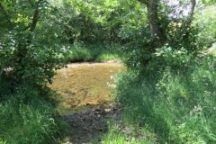 11c.-Upstream-from-Lyncombe-3