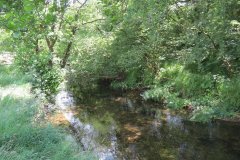 11c.-Upstream-from-Lyncombe-8