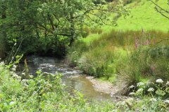 4.-Flowing-behind-the-Youth-Hostel-in-Exford-12