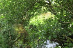 5.-Downstream-from-Exford-3
