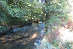 1a.-Downstream-from-Lyncombe-below-Lyncombe-Hill-11