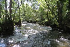 1a.-Downstream-from-Lyncombe-below-Lyncombe-Hill-4