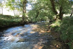 1a.-Downstream-from-Lyncombe-below-Lyncombe-Hill-5