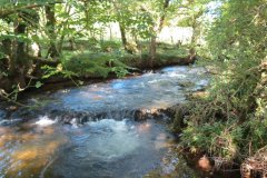 1a.-Downstream-from-Lyncombe-below-Lyncombe-Hill-6