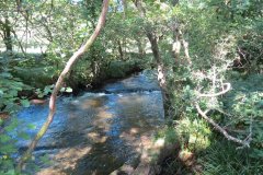 1a.-Downstream-from-Lyncombe-below-Lyncombe-Hill-7