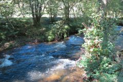1a.-Downstream-from-Lyncombe-below-Lyncombe-Hill-8