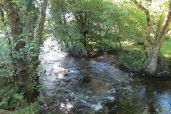 1a.-Downstream-from-Lyncombe-below-Lyncombe-Hill-9