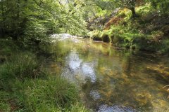 2.-Downstream-from-Lyncombe-below-Road-Hill-12