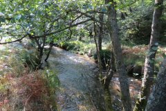 2.-Downstream-from-Lyncombe-below-Road-Hill-16