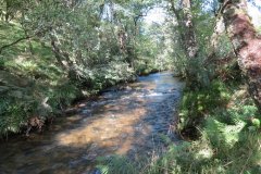 2.-Downstream-from-Lyncombe-below-Road-Hill-17