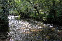 2.-Downstream-from-Lyncombe-below-Road-Hill-21