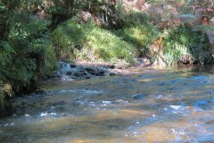 2.-Downstream-from-Lyncombe-below-Road-Hill-24