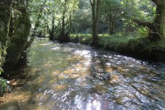 2.-Downstream-from-Lyncombe-below-Road-Hill-31