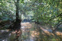 2.-Downstream-from-Lyncombe-below-Road-Hill-33