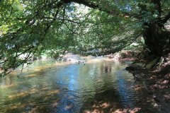 2.-Downstream-from-Lyncombe-below-Road-Hill-34
