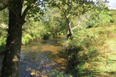 2.-Downstream-from-Lyncombe-below-Road-Hill-4