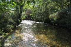 2.-Downstream-from-Lyncombe-below-Road-Hill-9