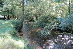 8.-Upstream-from-East-Nethercote-13