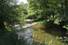 8.-Upstream-from-East-Nethercote-16