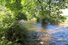 10.-Upstream-from-Larcombe-Foot-9
