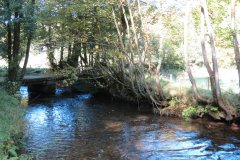 5.-Looking-upstream-to-Nethercote-Bridge-2