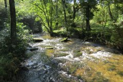 6.-Downstream-from-Nethercote-Bridge-6