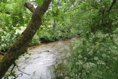 1.-Downstream-from-Larcombe-Foot-10