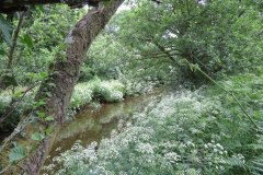 1.-Downstream-from-Larcombe-Foot-13
