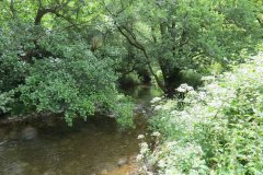1.-Downstream-from-Larcombe-Foot-14