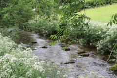 1.-Downstream-from-Larcombe-Foot-8