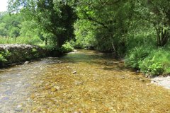 10.-Looking-downstream-from-ford-A