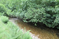 12.-Upstream-from-Ford-B-1