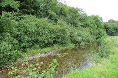 12.-Upstream-from-Ford-B-5