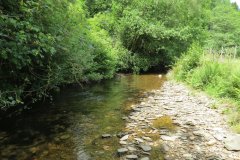 12.-Upstream-from-Ford-B-7