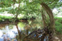 15.-Downstream-from-Ford-B-4