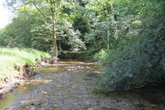 16.-Upstream-from-Vicarage-Bridge-5