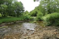 13.-Downstream-from-Exe-Bridge-2