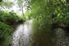 13.-Downstream-from-Exe-Bridge-3