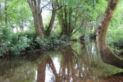 14.-Upstream-from-Winsford-Cricket-ground-3