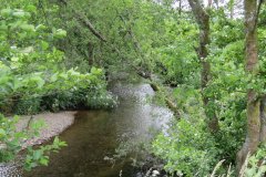 14.-Upstream-from-Winsford-Cricket-ground-9