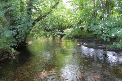 15.-Upstream-from-Edbrooke-Bridge-1