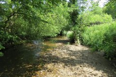 15.-Upstream-from-Edbrooke-Bridge-11
