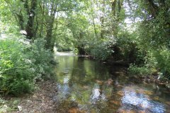 15.-Upstream-from-Edbrooke-Bridge-12